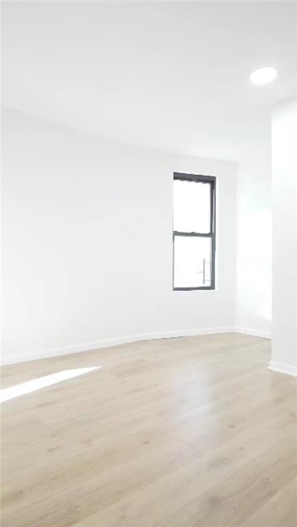 1847 Bronxdale Avenue Morris Park Bronx NY 10462