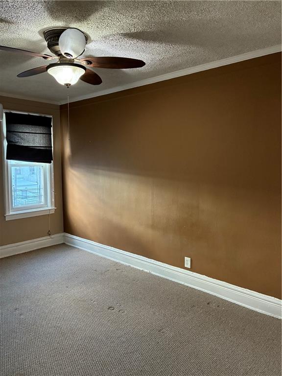 2030 Coyle Street Sheepshead Bay Brooklyn NY 11229