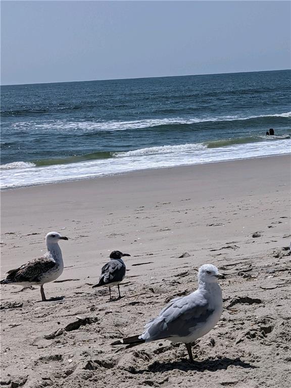 6906 Beach Channel Drive Arverne Arverne NY 11692