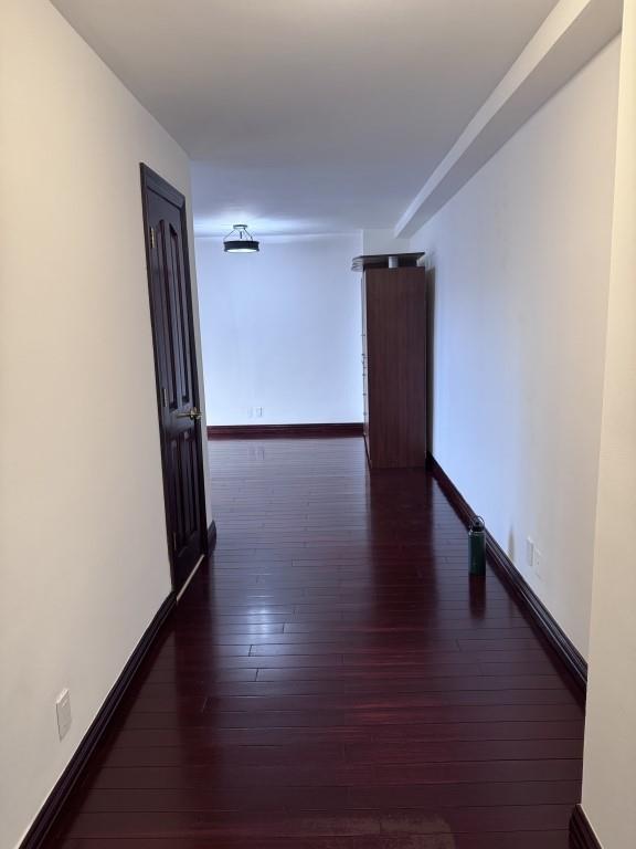 40 Brighton 1st Road Brighton Beach Brooklyn NY 11235