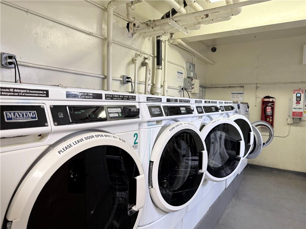 3395 Nostrand Avenue Madison Brooklyn NY 11229