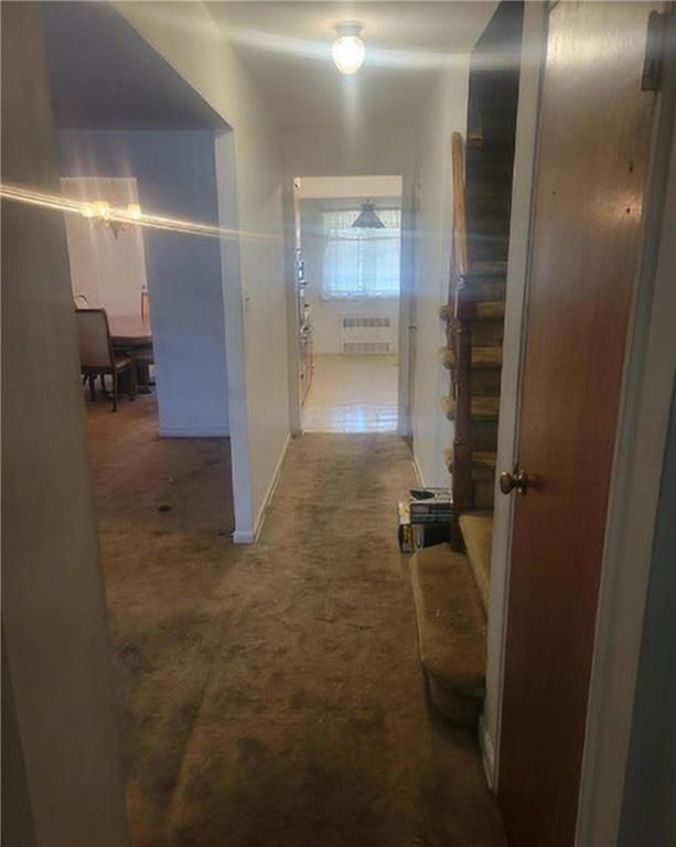 557 East 51st Street East Flatbush Brooklyn NY 11203