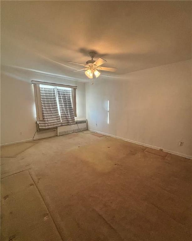 557 East 51st Street East Flatbush Brooklyn NY 11203