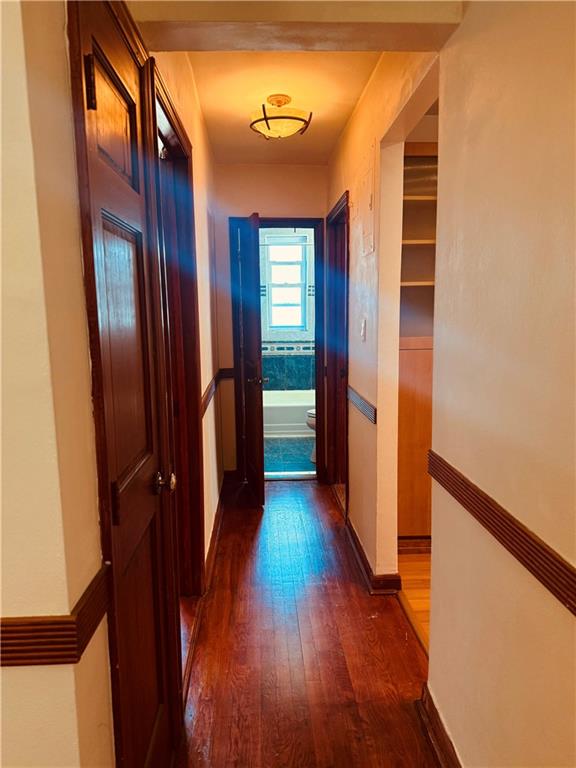 3203 Nostrand Avenue Madison Brooklyn NY 11229