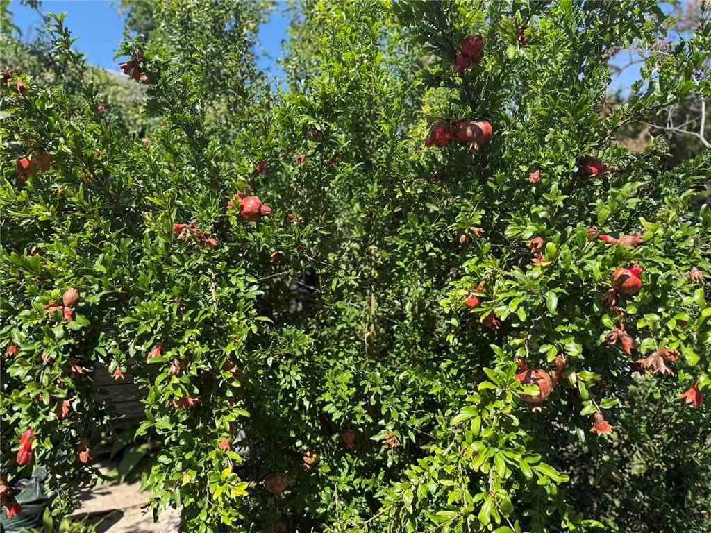 4414 Bedford Avenue Sheepshead Bay Brooklyn NY 11229