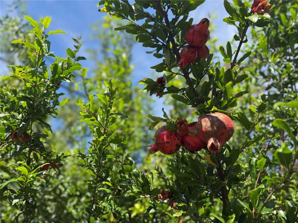 4414 Bedford Avenue Sheepshead Bay Brooklyn NY 11229