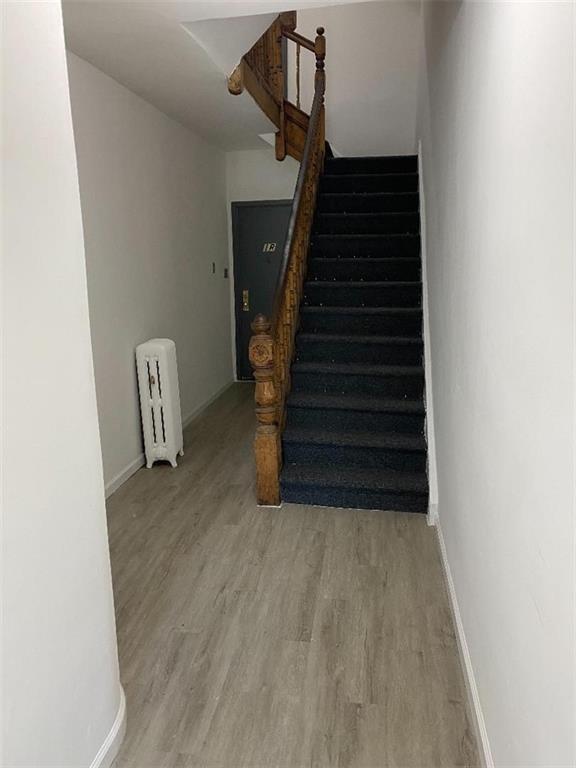 229 65th Street Sunset Park Brooklyn NY 11220