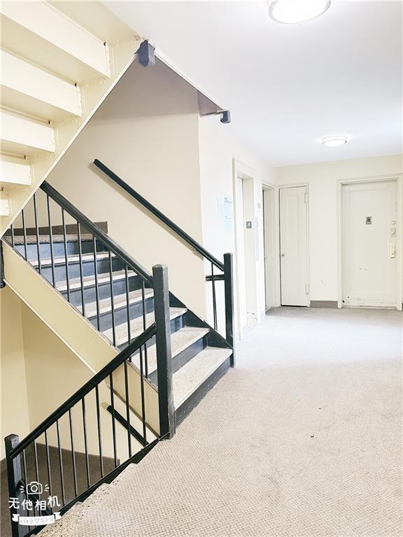 2705 Kings Highway Midwood Brooklyn NY 11229