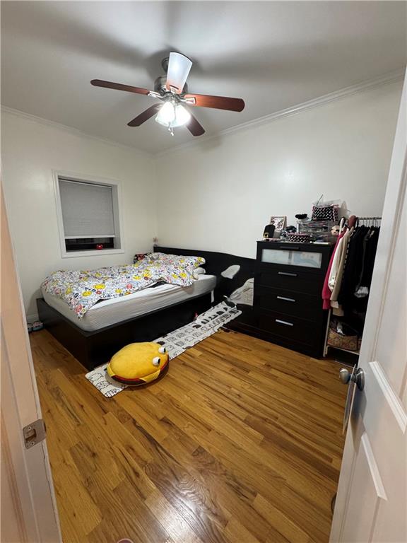 1733 EAST 4TH Street Gravesend Brooklyn NY 11223