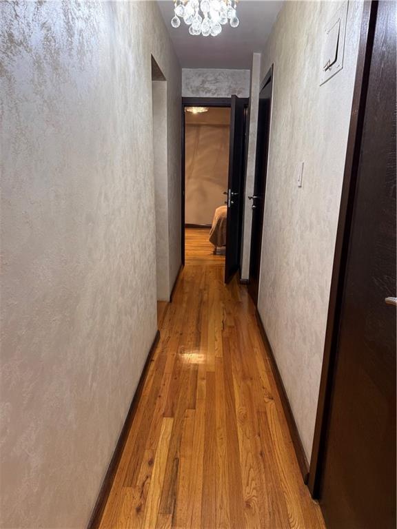 3845 Shore Parkway Sheepshead Bay Brooklyn NY 11235