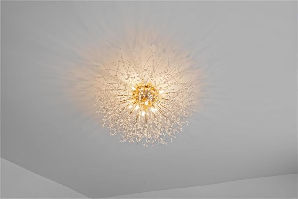 905 East 49th Street East Flatbush Brooklyn NY 11203