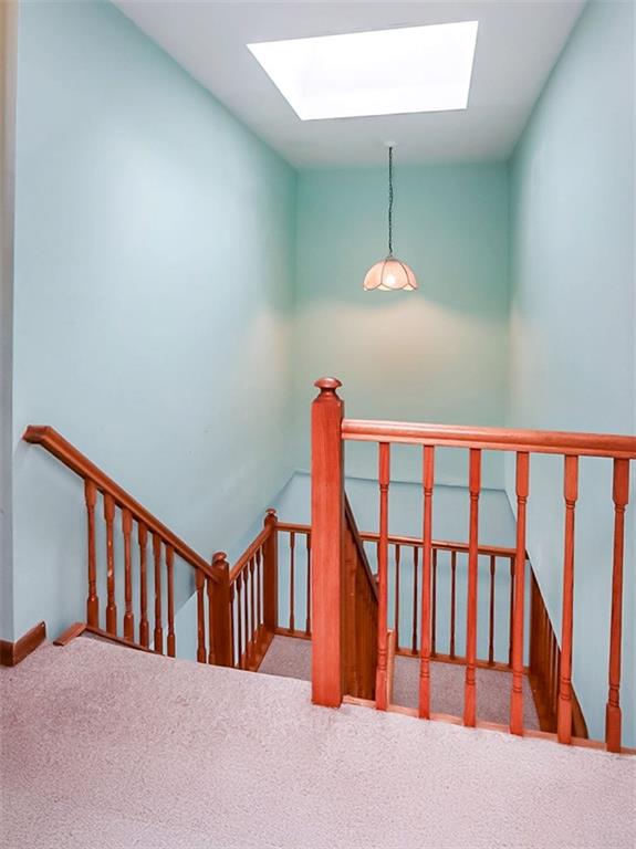 37 Elmwood Avenue Eltingville Staten Island NY 10308