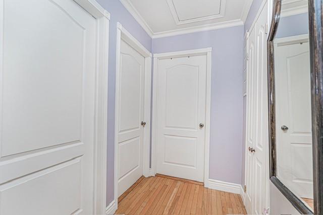 442 Ilyssa Way Arden Heights Staten Island NY 10312