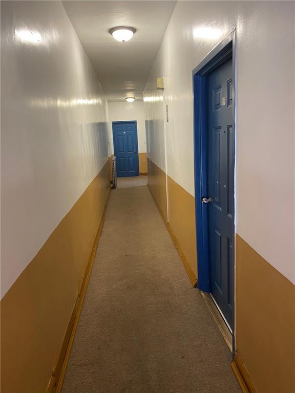 321 Milford Street East New York Brooklyn NY 11208