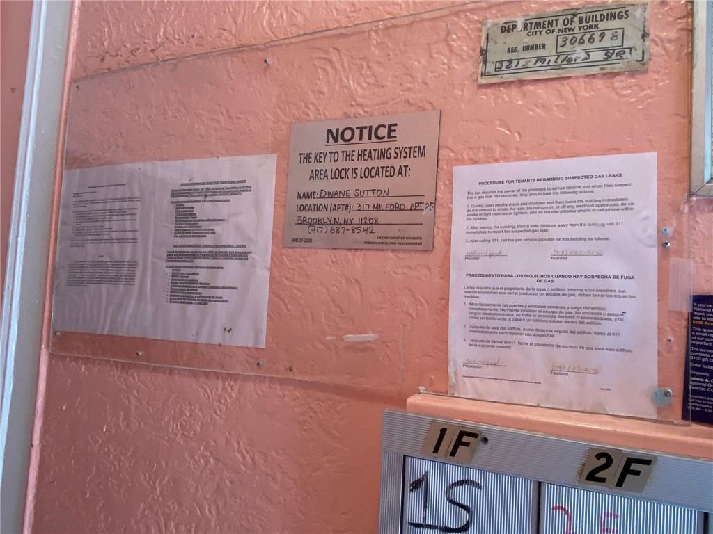 321 Milford Street East New York Brooklyn NY 11208