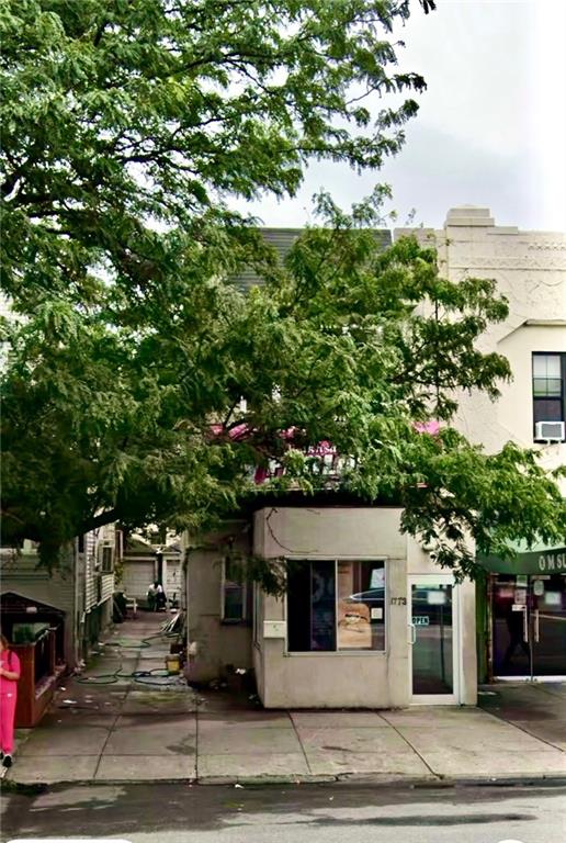 1773 Ocean Avenue Midwood Brooklyn NY 11230