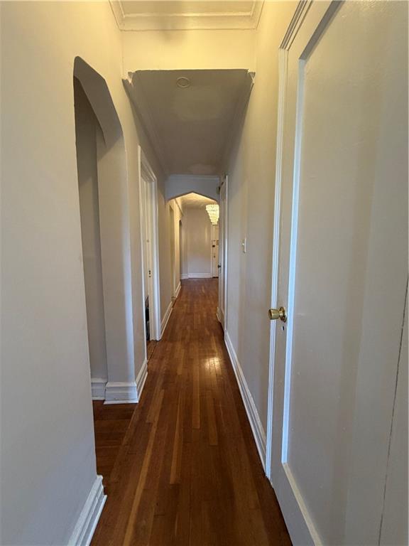 2515 Glenwood Road Midwood Brooklyn NY 11230
