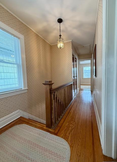 3019 Avenue T Marine Park Brooklyn NY 11229