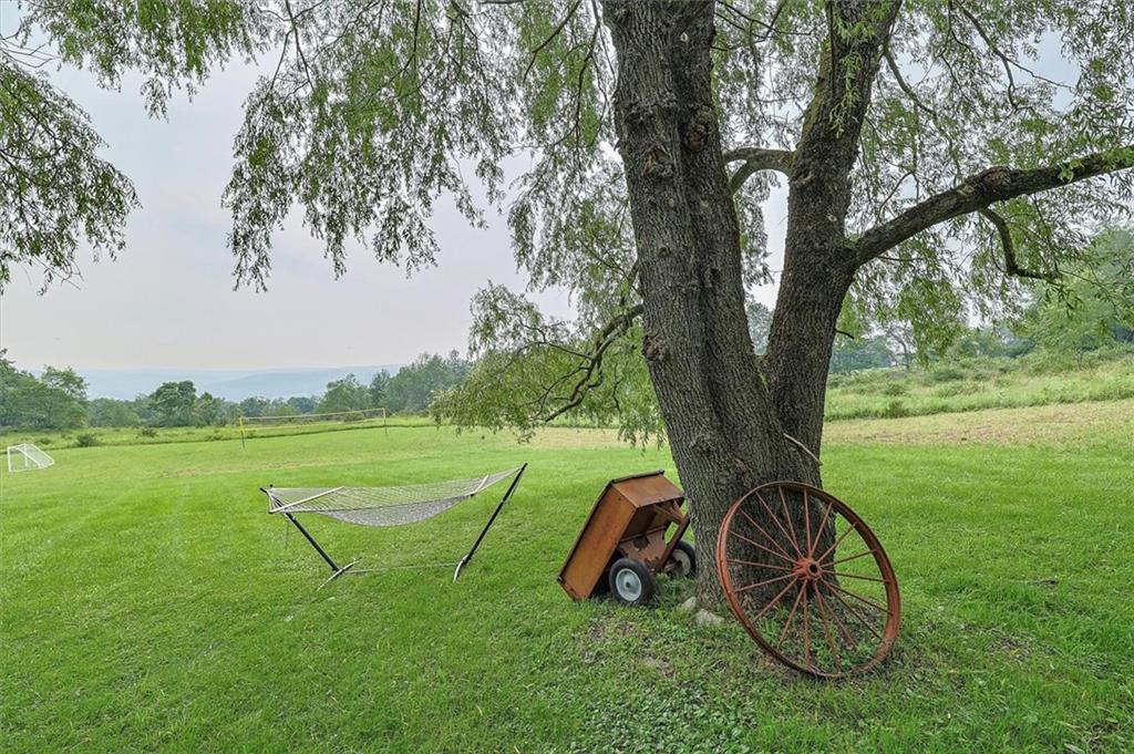 24 Valell Path Out of NYC Livingston Manr NY 12758