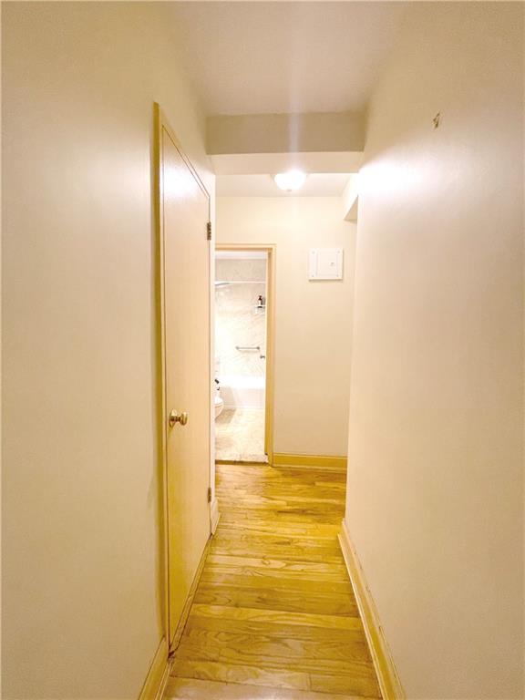 3178 Nostrand Avenue Sheepshead Bay Brooklyn NY 11229