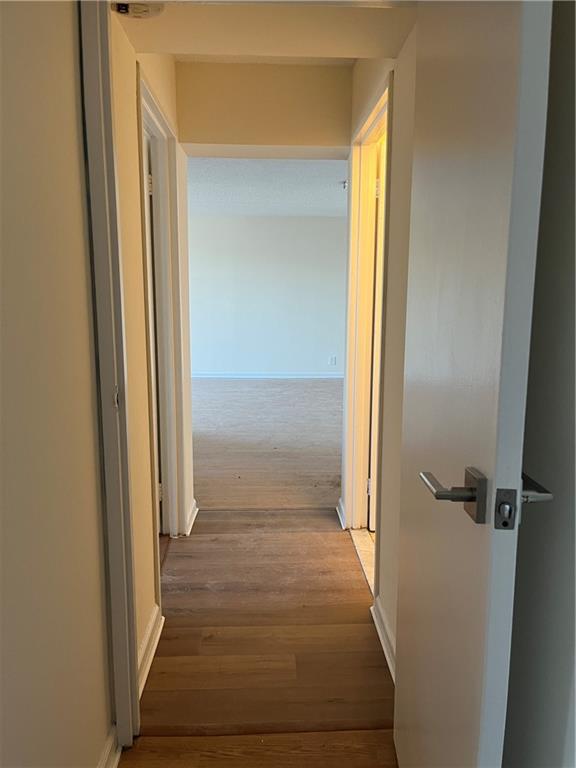 2955 Shell Road Coney Island Brooklyn NY 11224