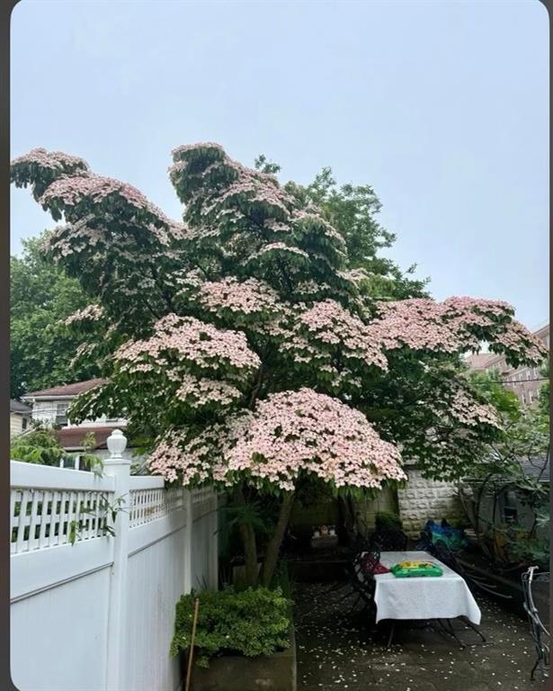 32 87th Street Bay Ridge Brooklyn NY 11209