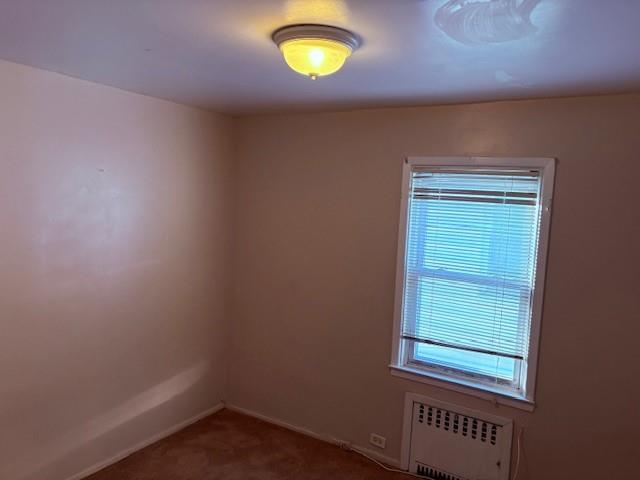 1625 East 96th Street Canarsie Brooklyn NY 11236