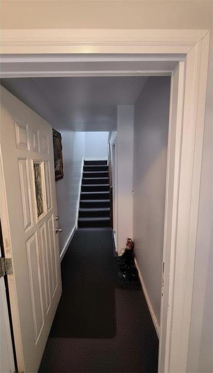 1718 Williamsbridge Road Morris Park Bronx NY 10461