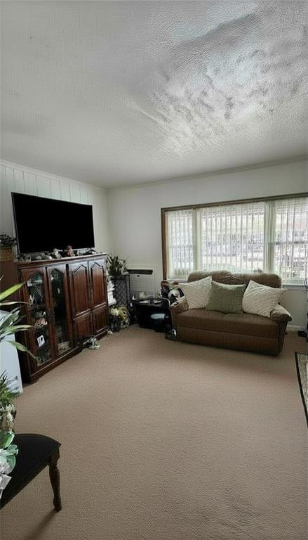 1718 Williamsbridge Road Morris Park Bronx NY 10461