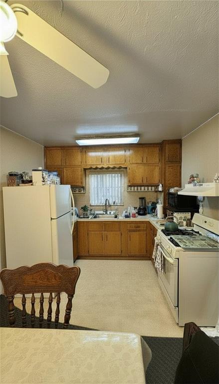 1718 Williamsbridge Road Morris Park Bronx NY 10461