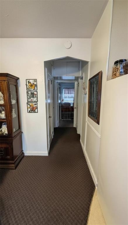 1718 Williamsbridge Road Morris Park Bronx NY 10461