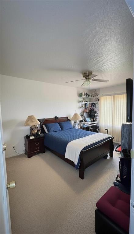 1718 Williamsbridge Road Morris Park Bronx NY 10461