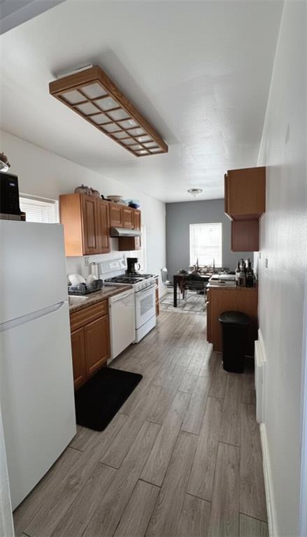 1718 Williamsbridge Road Morris Park Bronx NY 10461