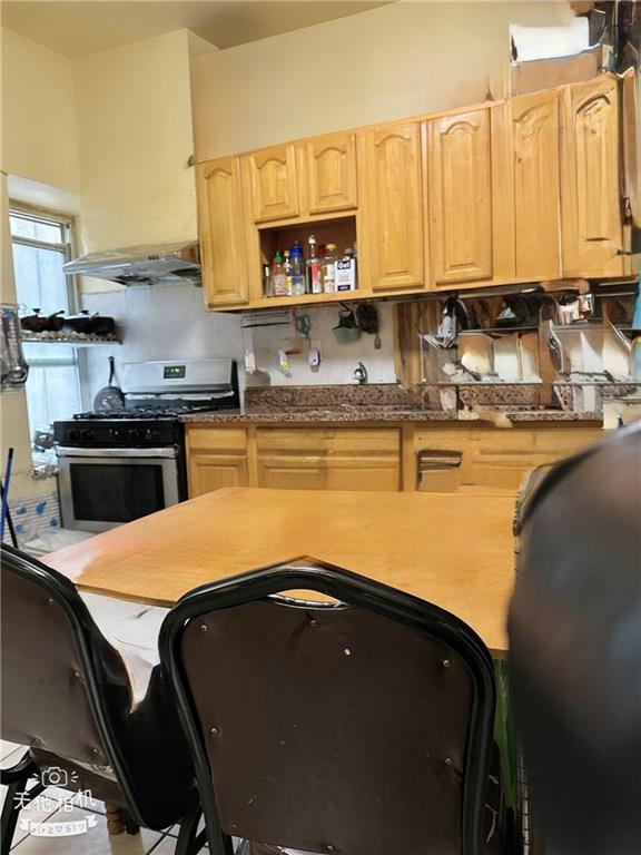 469 52nd Street Sunset Park Brooklyn NY 11220