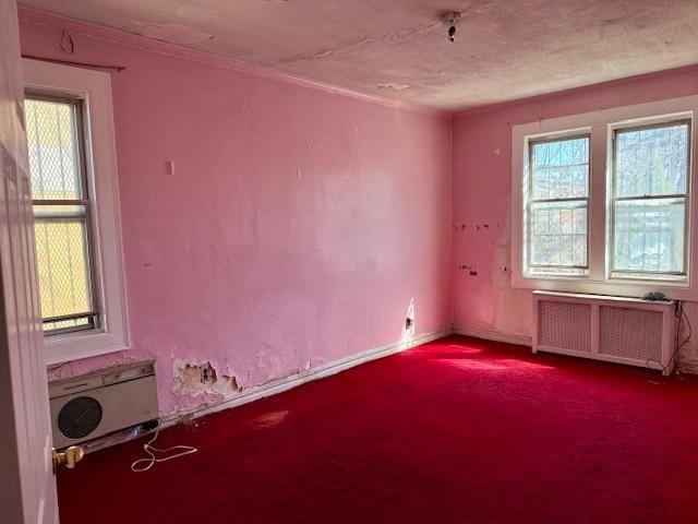 8912 Avenue A East Flatbush Brooklyn NY 11236