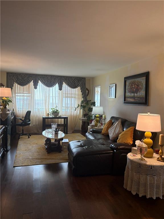 1655 Flatbush Avenue East Flatbush Brooklyn NY 11210