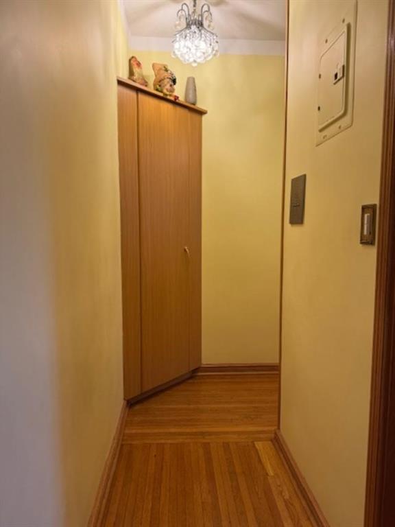 1560 East 18 Street Midwood Brooklyn NY 11230