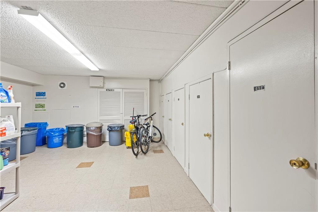 310 101st Street Bay Ridge Brooklyn NY 11209