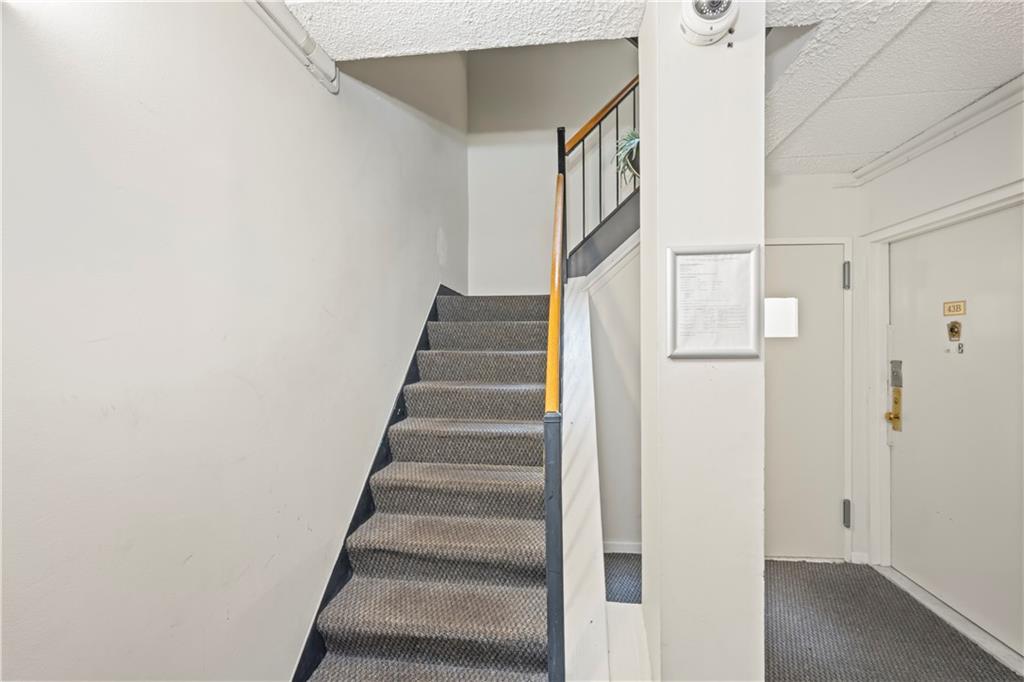 310 101st Street Bay Ridge Brooklyn NY 11209