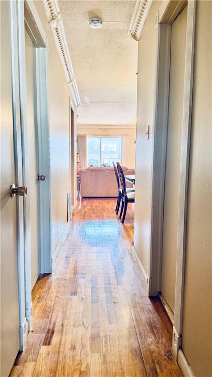 1463 East 103rd Street Canarsie Brooklyn NY 11236