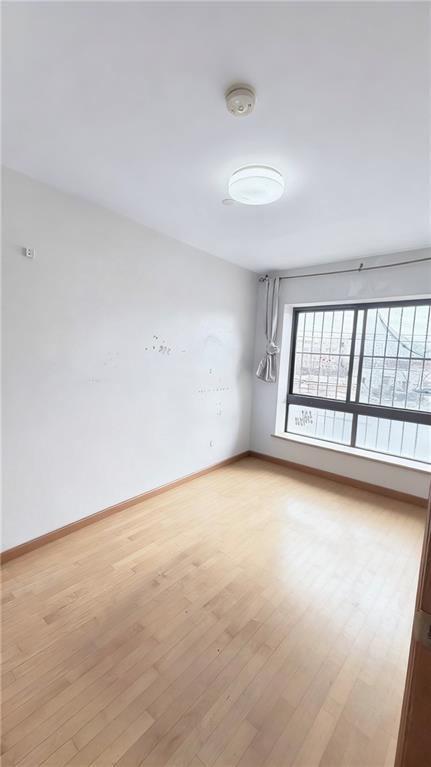 913 60th Street Borough Park Brooklyn NY 11219