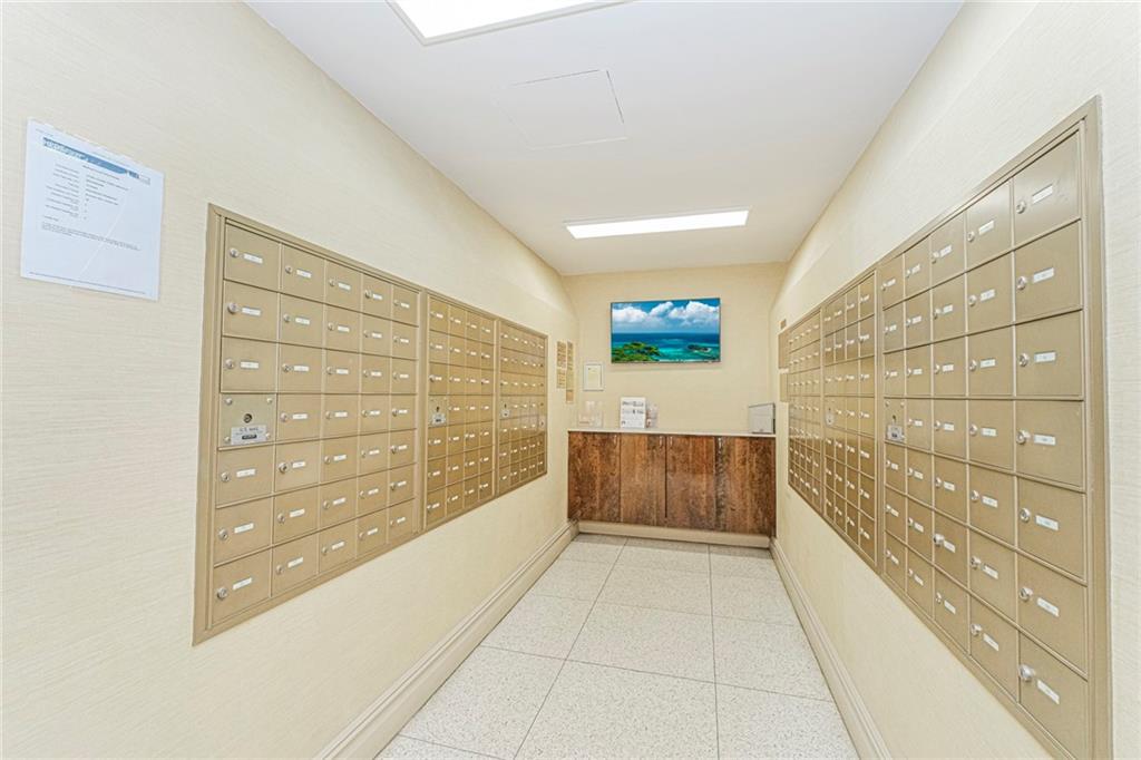 175 Willoughby Street Fort Greene Brooklyn NY 11201