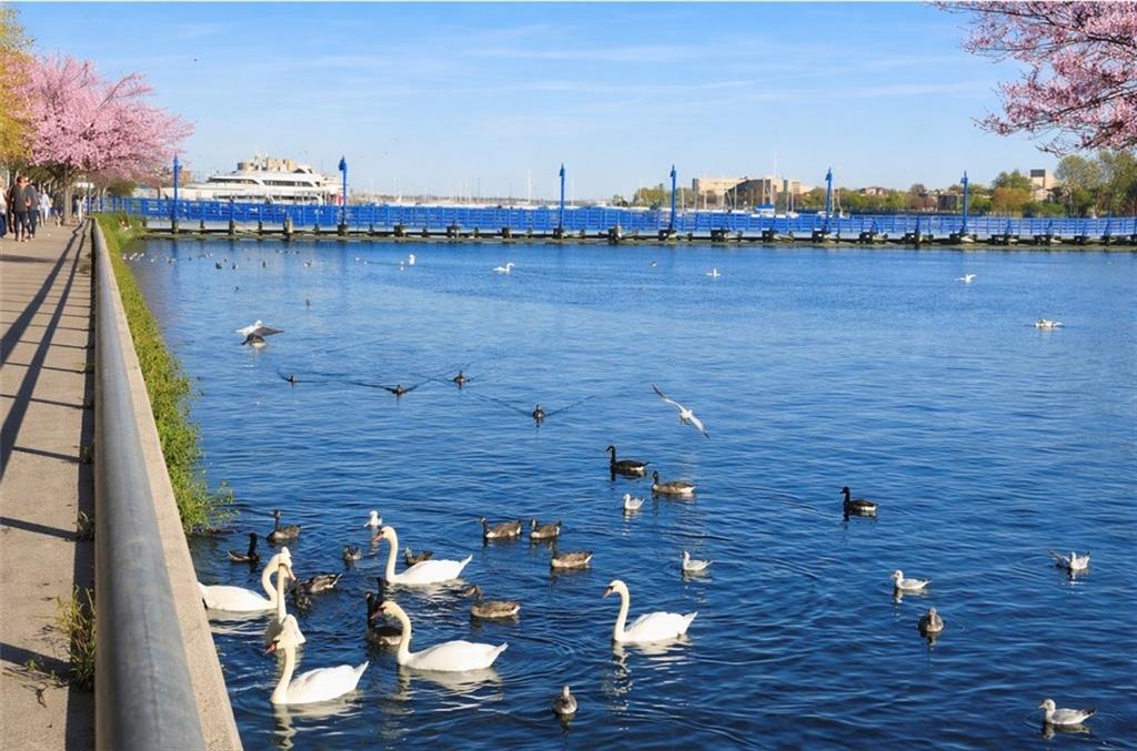 15A Lake Avenue Sheepshead Bay Brooklyn NY 11235