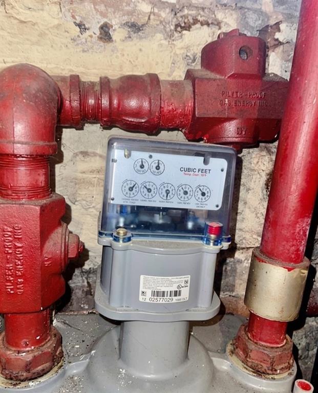 448 40th Street Sunset Park Brooklyn NY 11220