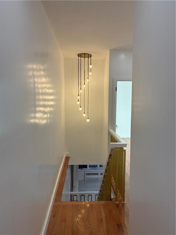 1637 East 53rd Street Old Mill Basin Brooklyn NY 11234