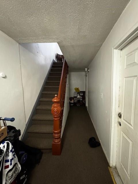 20 Pilling Street Bushwick Brooklyn NY 11207