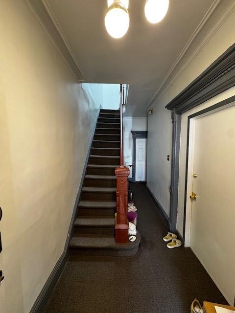 20 Pilling Street Bushwick Brooklyn NY 11207