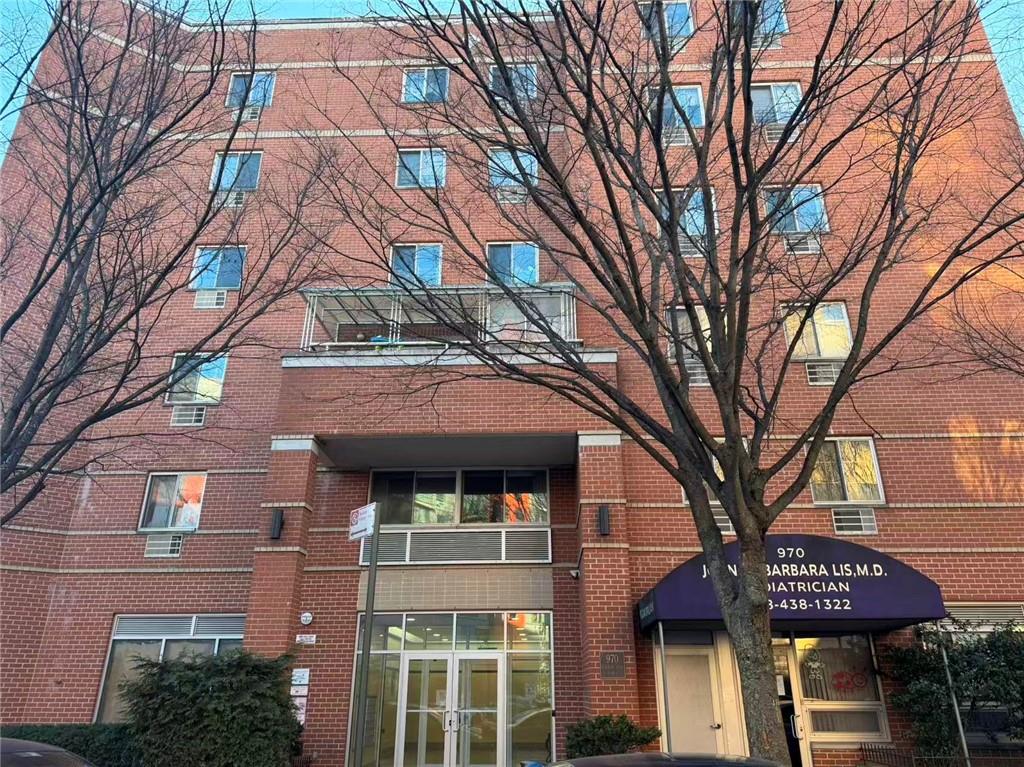 970 41st Street Borough Park Brooklyn NY 11219