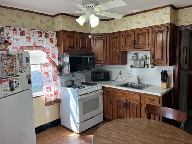 424 Netherland Avenue Mariner's Harbor Staten Island NY 10303