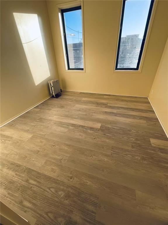 7525 15th Avenue Bensonhurst Brooklyn NY 11228